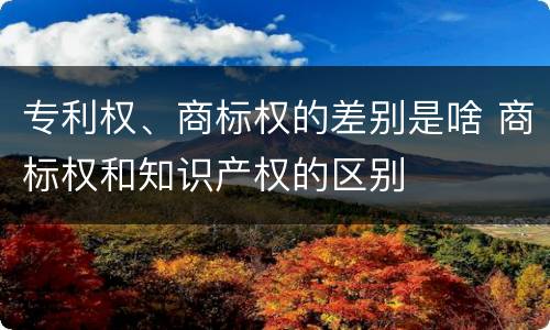专利权、商标权的差别是啥 商标权和知识产权的区别