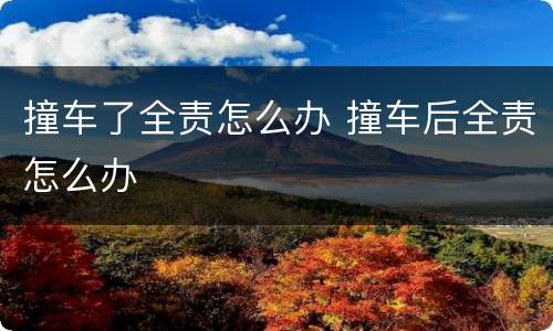 撞车了全责怎么办 撞车后全责怎么办