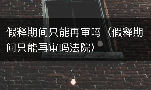 假释期间只能再审吗（假释期间只能再审吗法院）