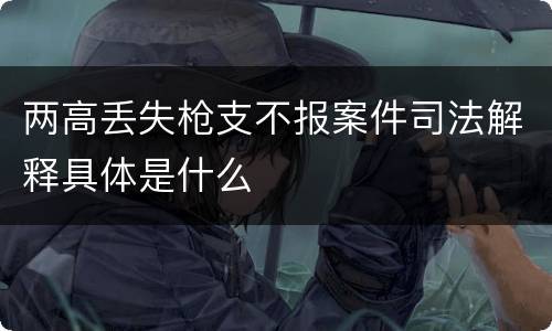 两高丢失枪支不报案件司法解释具体是什么