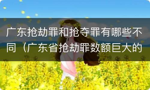 广东抢劫罪和抢夺罪有哪些不同（广东省抢劫罪数额巨大的标准）