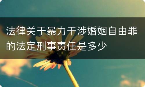 法律关于暴力干涉婚姻自由罪的法定刑事责任是多少