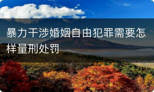 暴力干涉婚姻自由犯罪需要怎样量刑处罚