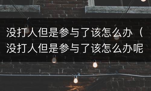 没打人但是参与了该怎么办（没打人但是参与了该怎么办呢）