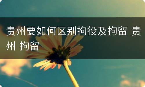 贵州要如何区别拘役及拘留 贵州 拘留