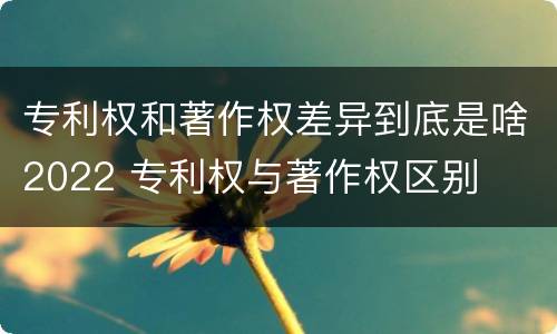 专利权和著作权差异到底是啥2022 专利权与著作权区别