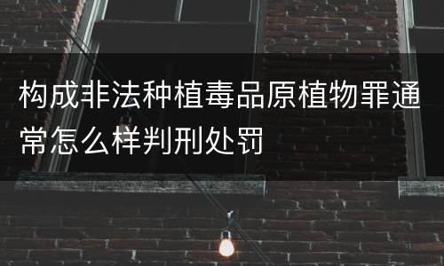 构成非法种植毒品原植物罪通常怎么样判刑处罚