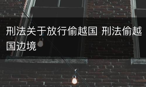 刑法关于放行偷越国 刑法偷越国边境