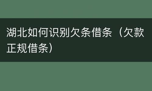 湖北如何识别欠条借条（欠款正规借条）