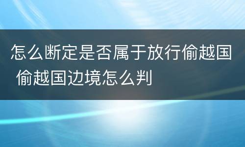 怎么断定是否属于放行偷越国 偷越国边境怎么判