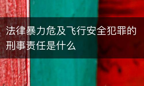 法律暴力危及飞行安全犯罪的刑事责任是什么