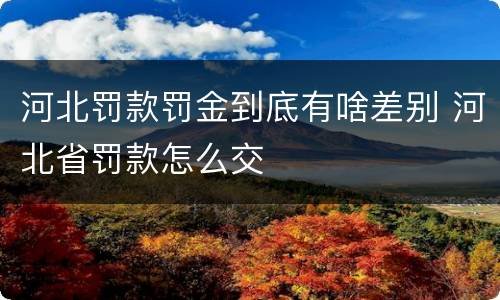 河北罚款罚金到底有啥差别 河北省罚款怎么交