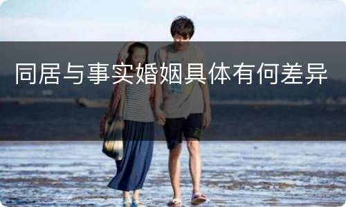 同居与事实婚姻具体有何差异
