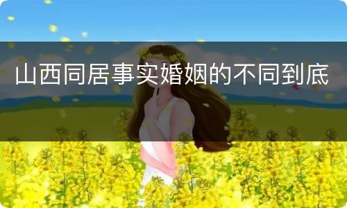 山西同居事实婚姻的不同到底