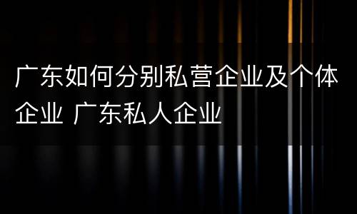 广东如何分别私营企业及个体企业 广东私人企业