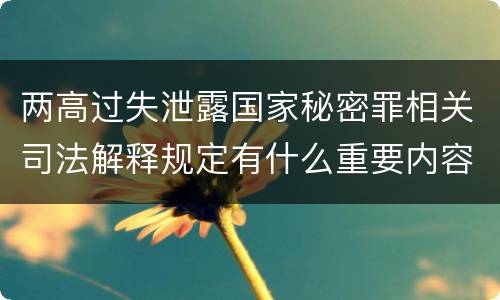 两高过失泄露国家秘密罪相关司法解释规定有什么重要内容