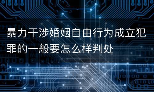 暴力干涉婚姻自由行为成立犯罪的一般要怎么样判处