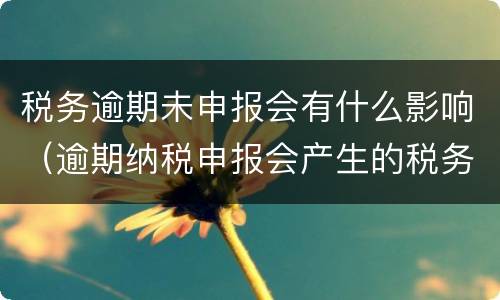 税务逾期未申报会有什么影响（逾期纳税申报会产生的税务后果有）
