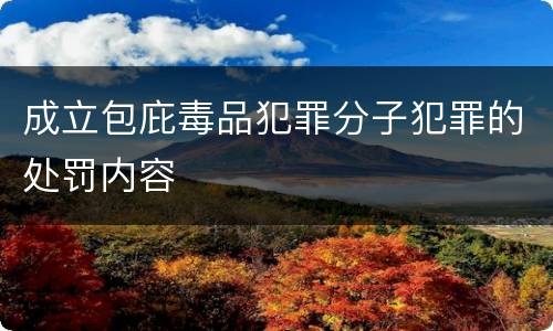 成立包庇毒品犯罪分子犯罪的处罚内容