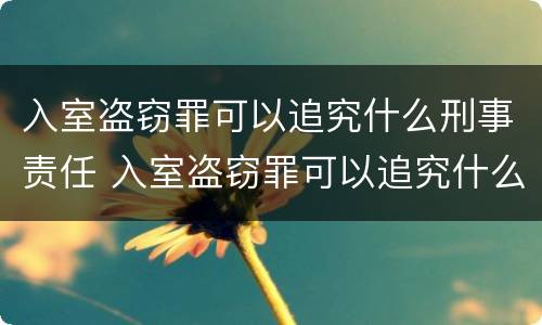 入室盗窃罪可以追究什么刑事责任 入室盗窃罪可以追究什么刑事责任案件