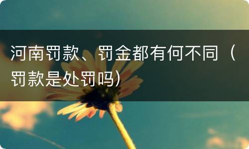 河南罚款、罚金都有何不同（罚款是处罚吗）