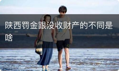 陕西罚金跟没收财产的不同是啥