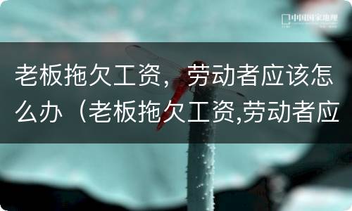 老板拖欠工资，劳动者应该怎么办（老板拖欠工资,劳动者应该怎么办呢）