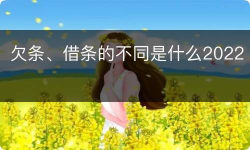 欠条、借条的不同是什么2022