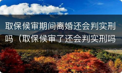 取保候审期间离婚还会判实刑吗（取保候审了还会判实刑吗）