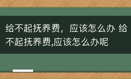 给不起抚养费，应该怎么办 给不起抚养费,应该怎么办呢