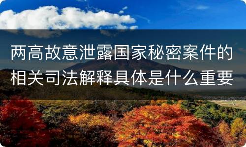 两高故意泄露国家秘密案件的相关司法解释具体是什么重要内容