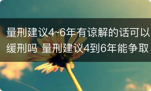 量刑建议4~6年有谅解的话可以缓刑吗 量刑建议4到6年能争取判缓吗?