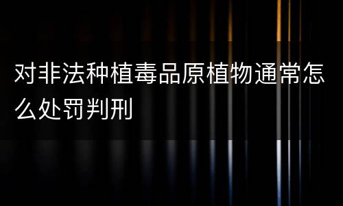 对非法种植毒品原植物通常怎么处罚判刑