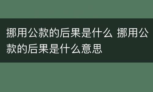 挪用公款的后果是什么 挪用公款的后果是什么意思