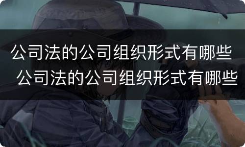 公司法的公司组织形式有哪些 公司法的公司组织形式有哪些种类