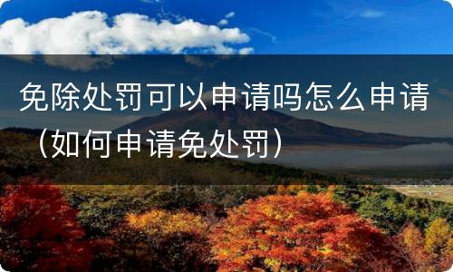 免除处罚可以申请吗怎么申请（如何申请免处罚）