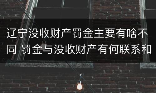 辽宁没收财产罚金主要有啥不同 罚金与没收财产有何联系和区别?