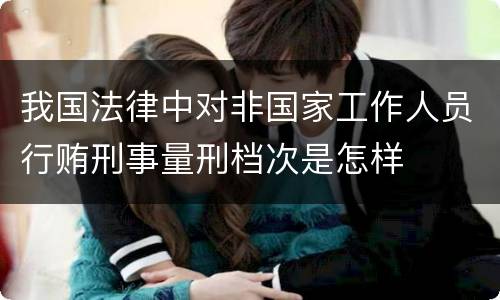 我国法律中对非国家工作人员行贿刑事量刑档次是怎样