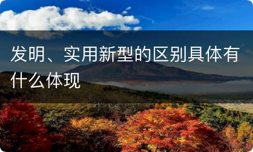 发明、实用新型的区别具体有什么体现
