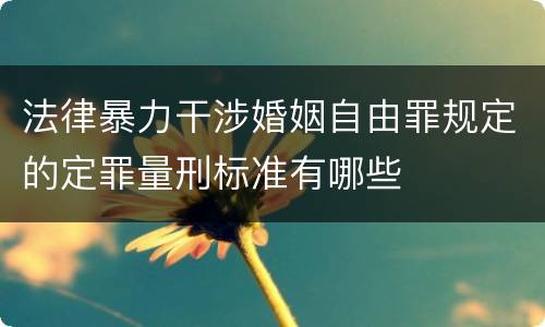 法律暴力干涉婚姻自由罪规定的定罪量刑标准有哪些