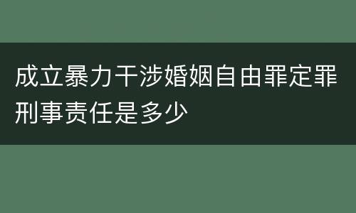 成立暴力干涉婚姻自由罪定罪刑事责任是多少