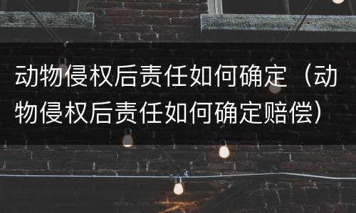 动物侵权后责任如何确定（动物侵权后责任如何确定赔偿）