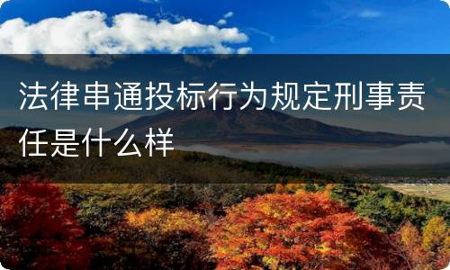 法律串通投标行为规定刑事责任是什么样
