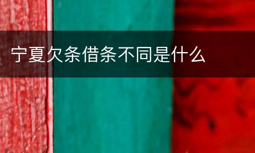 宁夏欠条借条不同是什么