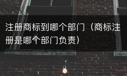 注册商标到哪个部门（商标注册是哪个部门负责）