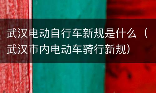 武汉电动自行车新规是什么（武汉市内电动车骑行新规）