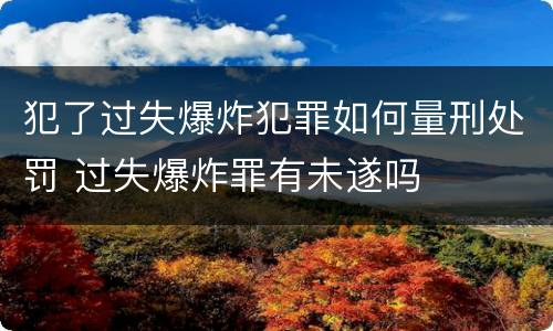 犯了过失爆炸犯罪如何量刑处罚 过失爆炸罪有未遂吗