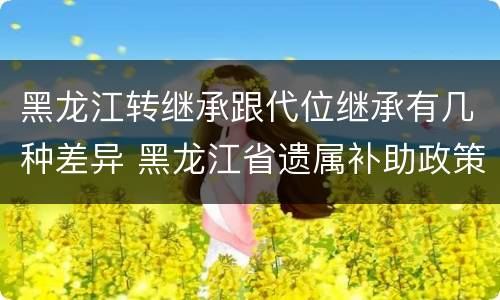 黑龙江转继承跟代位继承有几种差异 黑龙江省遗属补助政策最新