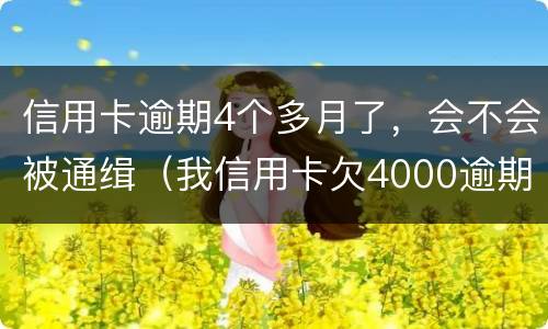 信用卡逾期4个多月了，会不会被通缉（我信用卡欠4000逾期四个月）