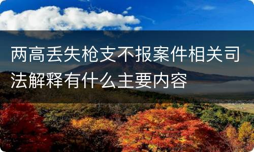 两高丢失枪支不报案件相关司法解释有什么主要内容